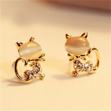 Earrings Fashion