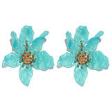 Earrings Fashion Big Stud