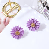 Earrings 5 Color Fashion