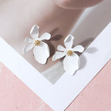 Earrings 5 Color Fashion