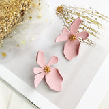 Earrings 5 Color Fashion