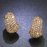 Earrings  Silver